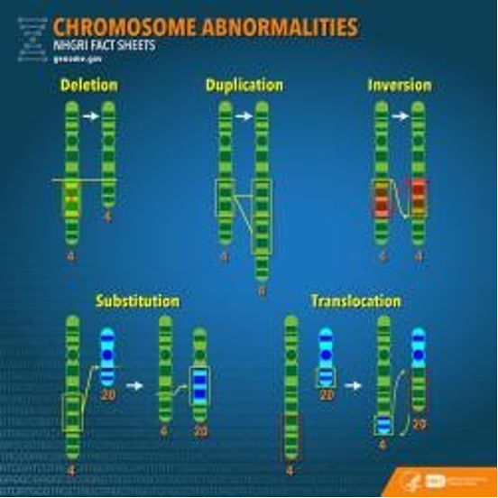 Il gene di fusione BCR-ABL1 è il frutto di una traslocazione cromosomica. Fonte immagine: National Human Genome Research Insitute